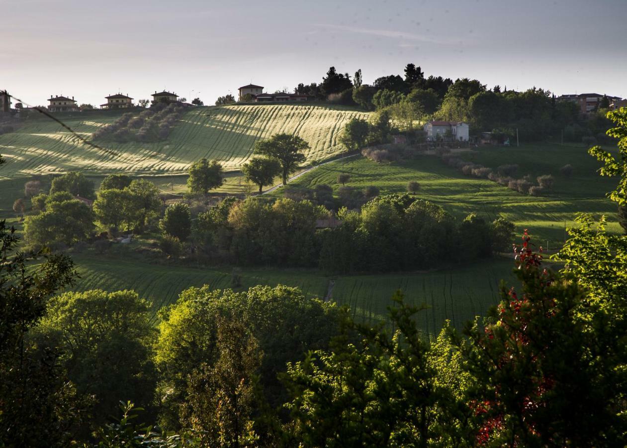 Grande Villa Storica Per Vacanze Con Giardino Privato E Piscina Ostra Exterior foto