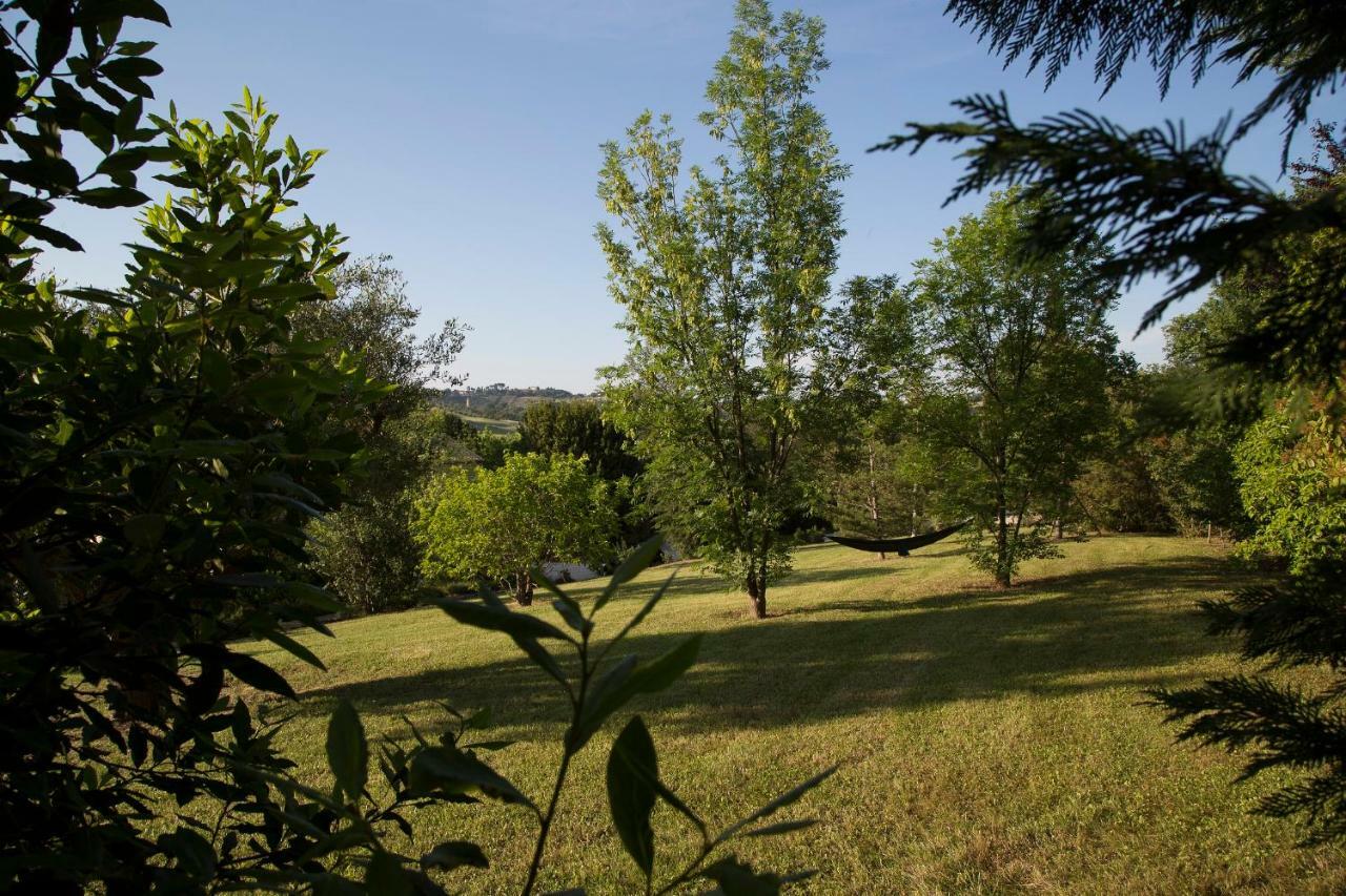 Grande Villa Storica Per Vacanze Con Giardino Privato E Piscina Ostra Exterior foto