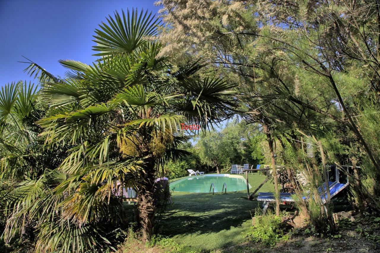 Grande Villa Storica Per Vacanze Con Giardino Privato E Piscina Ostra Exterior foto