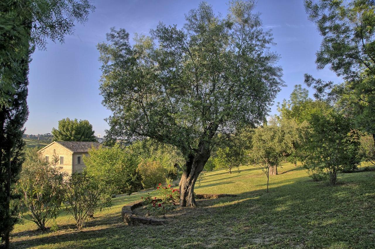 Grande Villa Storica Per Vacanze Con Giardino Privato E Piscina Ostra Exterior foto