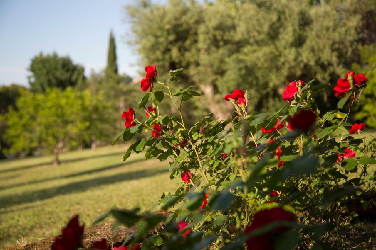 Grande Villa Storica Per Vacanze Con Giardino Privato E Piscina Ostra Exterior foto